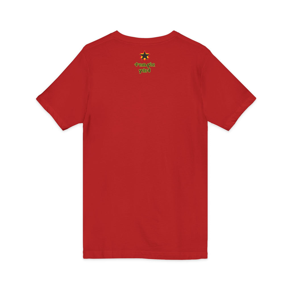 Unisex Jersey Short Sleeve V-Neck Tee