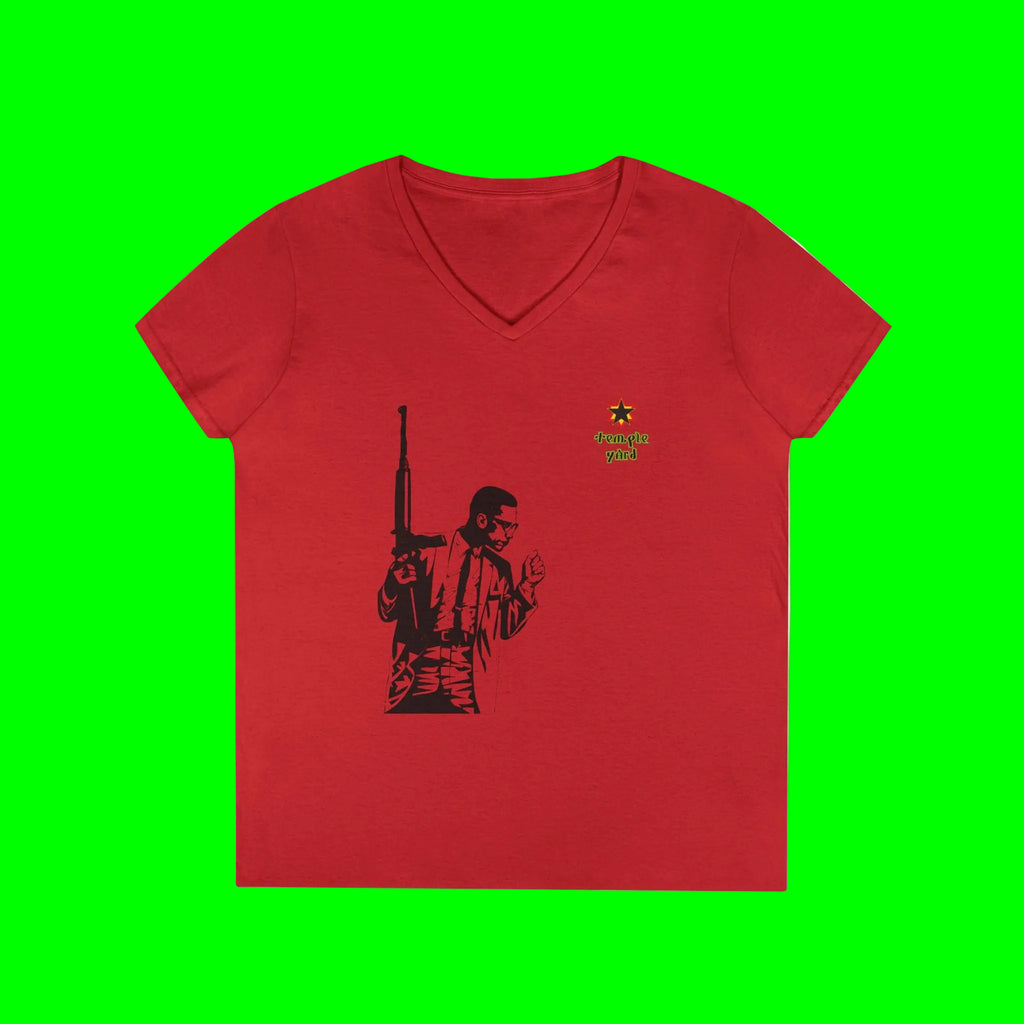 Ladies' V-Neck T-Shirt