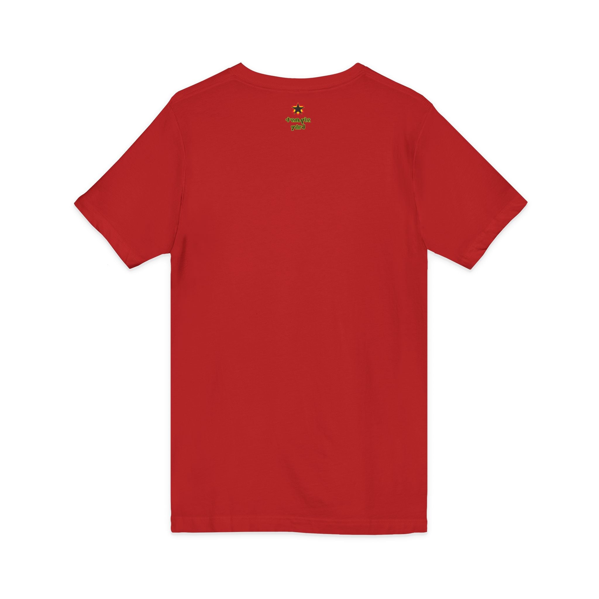 Unisex Jersey Short Sleeve V-Neck Tee