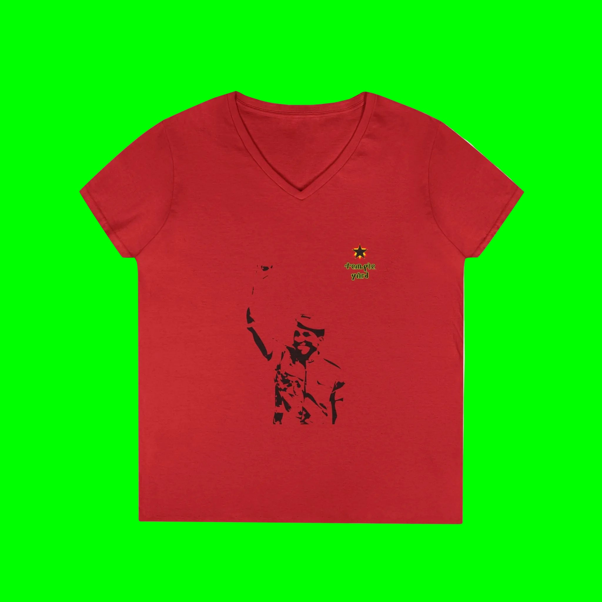 Ladies' V-Neck T-Shirt