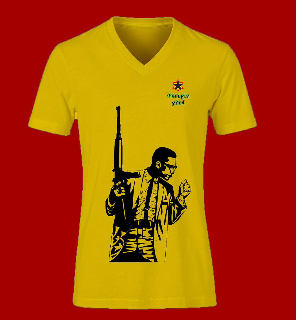 Ladies' V-Neck T-Shirt