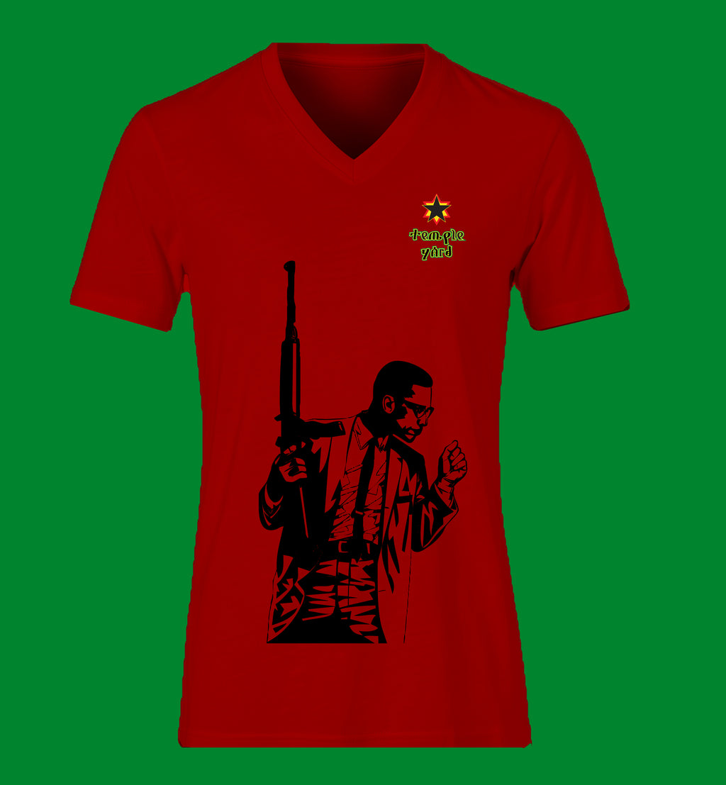 Ladies' V-Neck T-Shirt