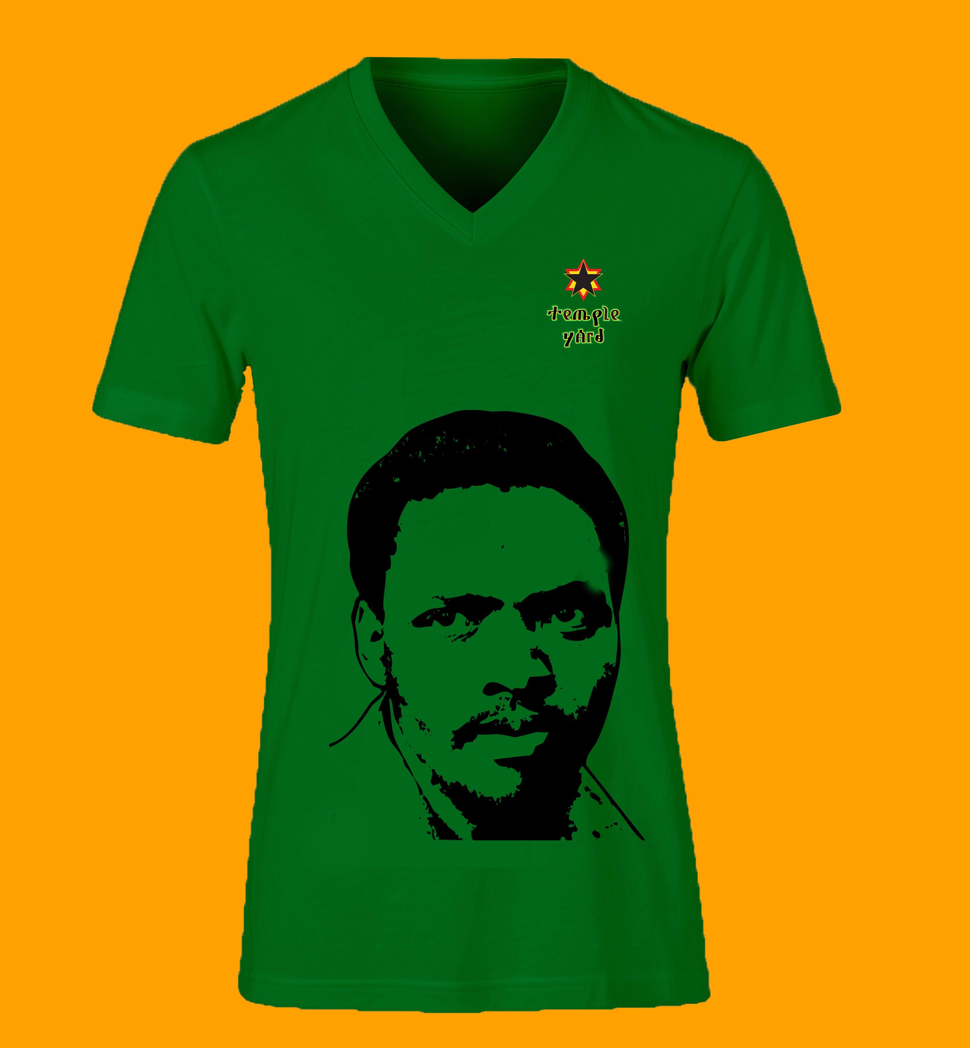 Ladies' V-Neck T-Shirt — Mandela Portrait Tee with 'Imagine Peace' Star